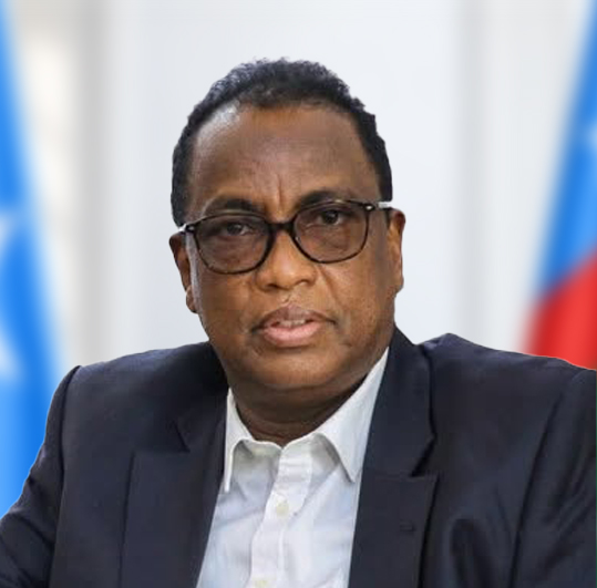 Hon. DrAliSaidFiqi